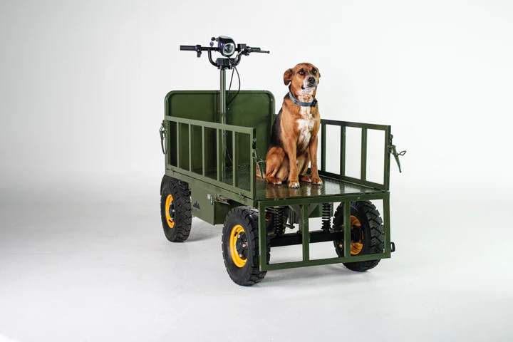 All-Terrain Buggy