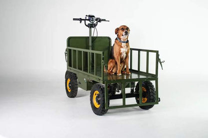 All-Terrain Buggy