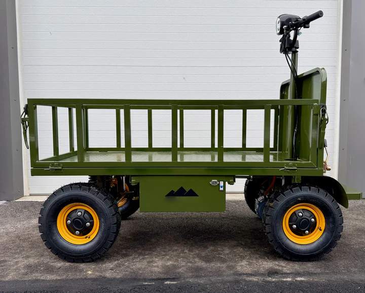 All-Terrain Buggy